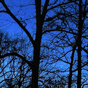 all the other things (Explicit)