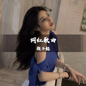 网红歌曲 (DJ版)