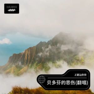 贝多芬的悲伤