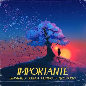 Importante (feat. Joshua Ventura & Nico Gonza)