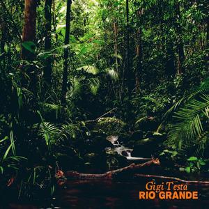 Rio Grande (Space Version)