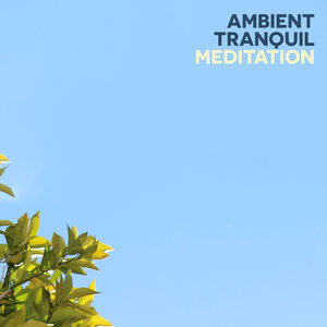 Ambient Tranquil Meditation