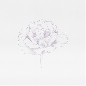 Lisianthus