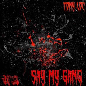 Say my gang (Explicit)