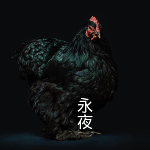 吉普赛情人