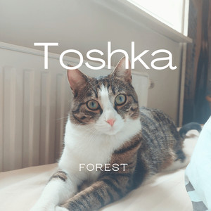 Toshka