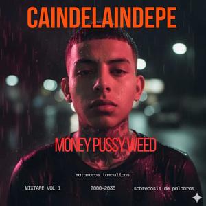 Money Pussy Weed (Explicit)