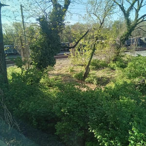 Alias yungin (feat. Alias zay) (Explicit)