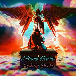 I Know You're Looking Down (Explicit)