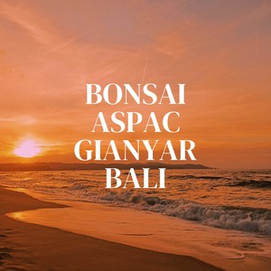 BONSAI ASPAC GIANYAR BALI