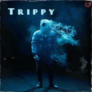 Trippy (feat. Sir Trippy) [Explicit]