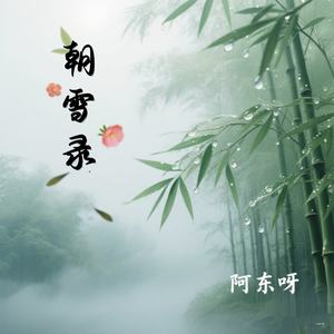 朝雪录