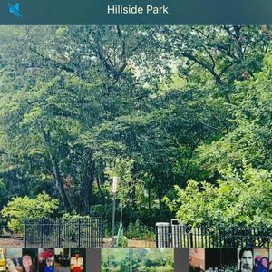 hillside park (Explicit)