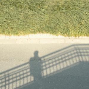 夏天的风 (吉他版|翻自 温岚)