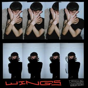 Wings (feat. H.O.K) (Explicit)