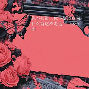 你不知道 (你不知道我为什么就这样走远)