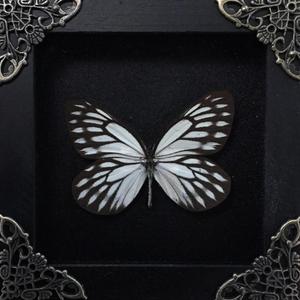 Nerve Endings (feat. Kattsun)