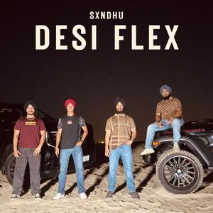 DESI FLEX