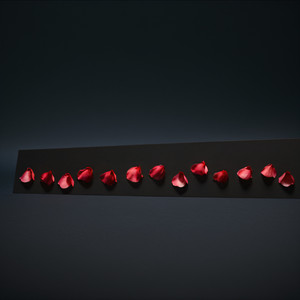 13 Rosas - XX Aniversario - Se Abre El Telón