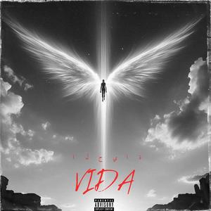 VIDA (Explicit)