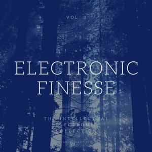 Electronic Finesse (The Intellectual Electronic Collection) , Vol. 3