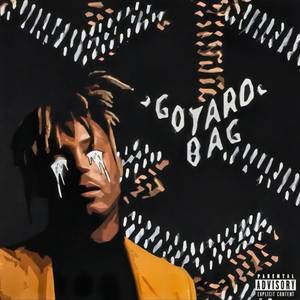 Goyard Bag (Explicit)