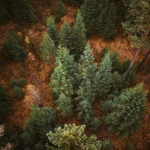 Sleep Zone Noise to Relax