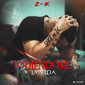 Jodiéndome la vida