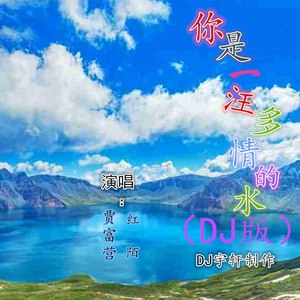 你是一汪多情的水—对唱 (DJ宇轩版)