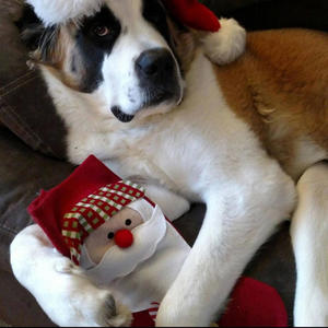 Mhmmm Freestyle (Explicit)