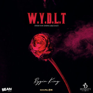 W.Y.D.L.T(Who You Doing Like That)