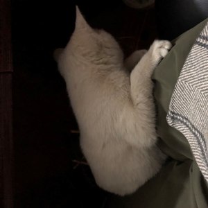 纪念悲伤的歌 (Demo)