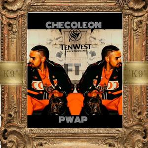 K9 (feat. Pwap) (Explicit)