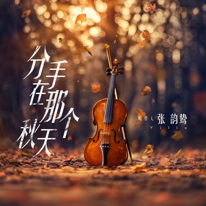 张韵鸷-分手在那个秋天[MP3_LRC]_MP3下载