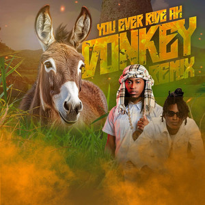 You Ever Ride Ah Donkey (Remix)