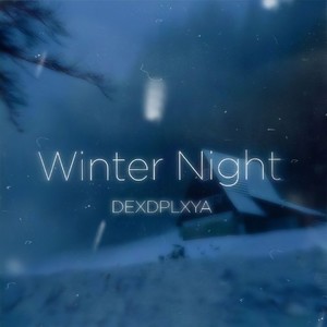 Winter Night