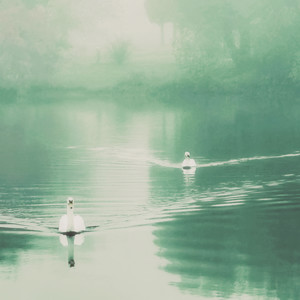 醒来，还在梦里