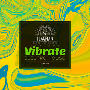 Vibrate Electro House