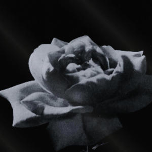 ready to die (Explicit)