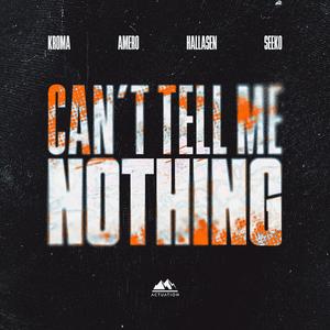 Can't Tell Me Nothing