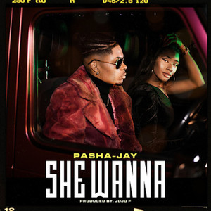 She Wanna (Explicit)