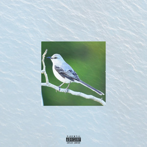 Mockingbird (Remix|Explicit)
