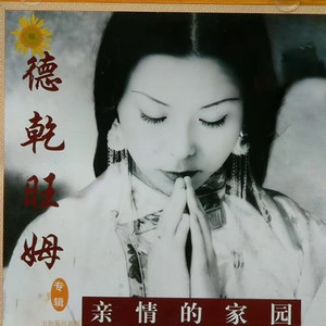 嘎绒梅朵封面