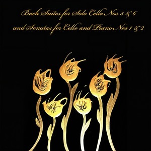 Suite for Solo Cello No. 5 in G Major, BWV 1011 - VI. Gigue