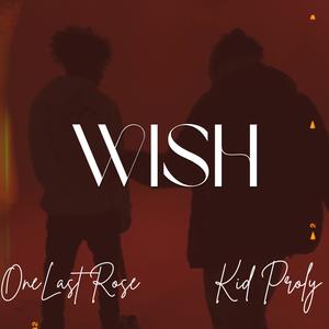 Wish (feat. Kidproly) (Explicit)