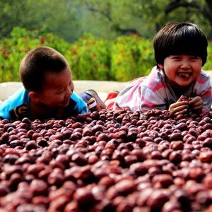 我们的王二小 (伴奏)