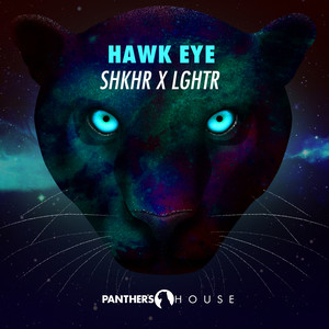 Hawk Eye (Original Mix)