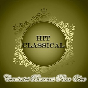 Oboe Concerto in D Minor, S.Z799 - III. Allegro