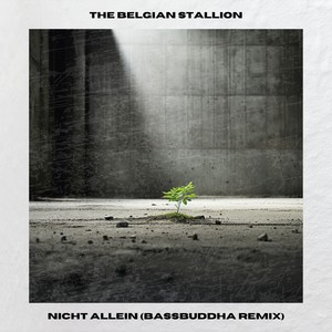 NICHT ALLEIN (Bassbuddha Remix)