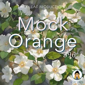 Mock Orange 396